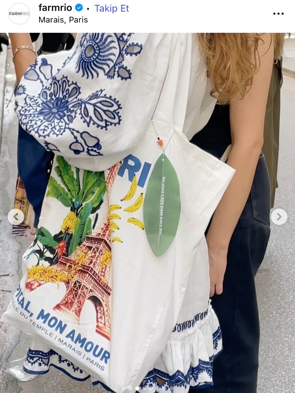 Farm Rio Tote Bag - Picture 4 of 15
